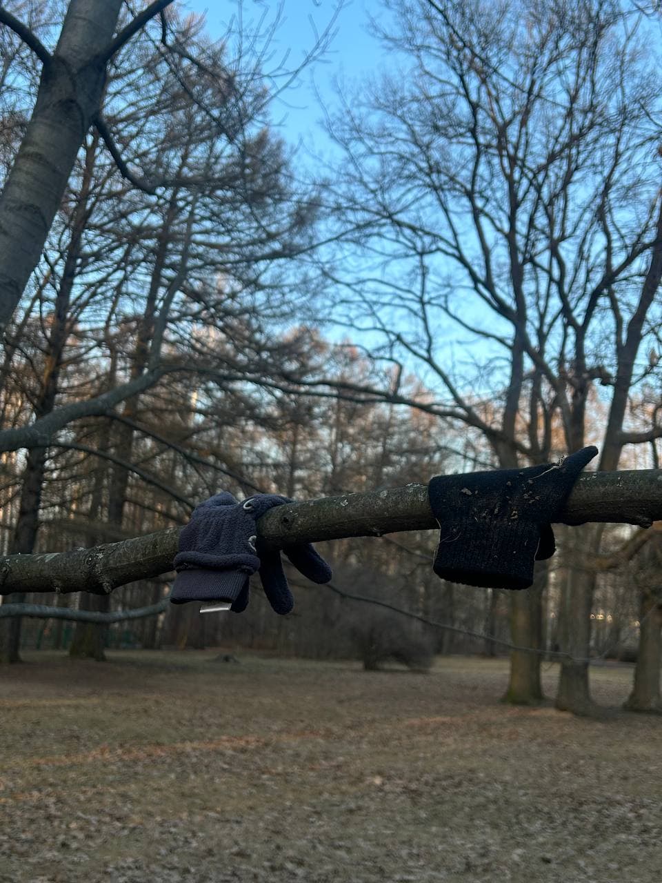 Удельный парк